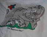 Beginners Bible Story Bed Sheet Set Full Vintage J Penney Crafter Pictures. Fixed Price $14.99.