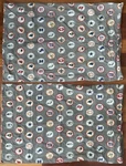 Set Of 2 Pottery Barn Teen Nfl Football Nfc Logos Standard Pillowcases Free Ship. Fixed Price $25.99.