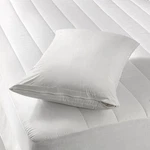 New 2DELUXE Waterproof Hypoallergenic Zipper Vinyl Pillow Cover Bed Bugprotector. Fixed Price $8.95.