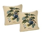 Dada Bedding Set Of 2-PIECES Sugar Plum Fruits Garden Tapestry Throw Pillow Cove. Fixed Price $41.99.