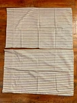 Pair Ralph Lauren Claudine Blue Ticking Stripe Standard Pillowcases. Fixed Price $59.99.